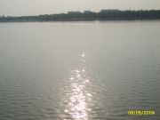 S8006215