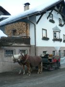 ������. �������� :) 