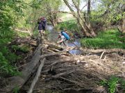 054 Mordves river