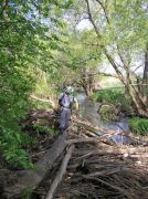 055 Mordves river