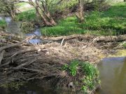 056 Mordves river