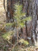 DSCF1657