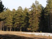 DSCF1784