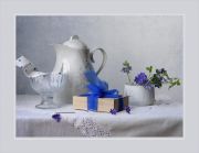 ����������������