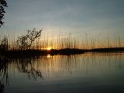 DSCF3561