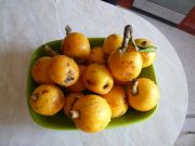 ����������� 015