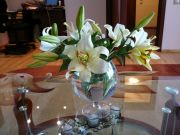 ����������� 032