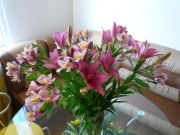 ����������� 025