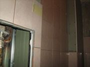 IMG 1259
