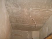 IMG 1287