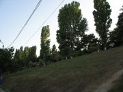 IMG 3471