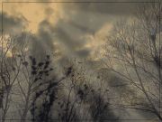 DSCN0867 �����