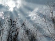 DSCN0867 ����� 1