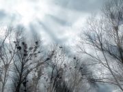 DSCN0867 ����� 3