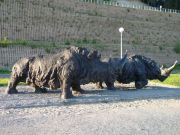 P1000268