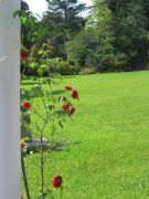 ������������ � ������