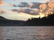 �����. ������� ���. ���� 2008. �������