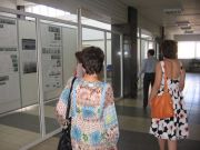 IMG 0841