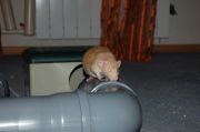 DSC 0062
