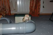 DSC 0061
