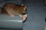 DSC 0058