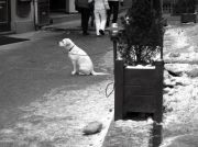 P1071973