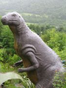 IMG 0058