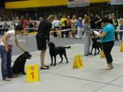 DSCF4289