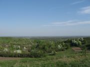 IMG 0001 1