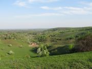 IMG 0001 7