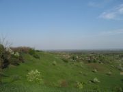 IMG 0001 8