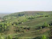 IMG 0001 10