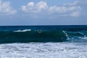 DSC 0091
