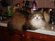 DSC00190