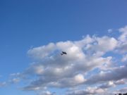 IMG 0285