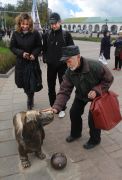Сбор средств на питание собак
