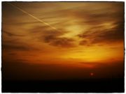 DSC06310