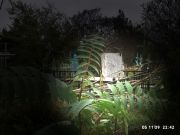 ������ ��������