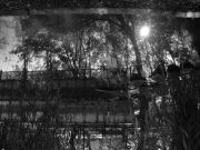 DSC08250