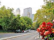 Central Park