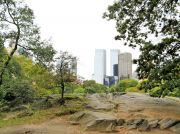 Central Park