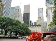 Central Park
