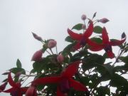  004