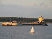 P1010568