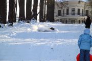 IMG 3388 w1