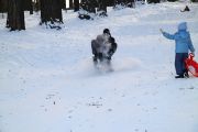 IMG 3403 w1