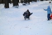 IMG 3404 w1