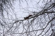 IMG 3490 w1