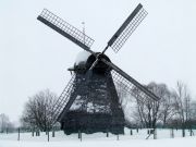 DSCF8085