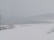 DSCF8099